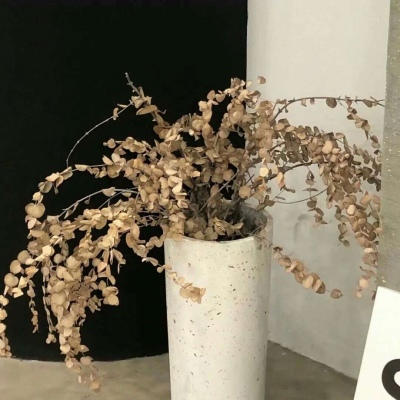 Furry插画细节提升技巧福瑞群